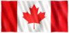 Business, Articles, Resources, Canada